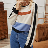 Panelled Cropped Sweatshirt