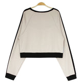 Panelled Cropped Sweatshirt